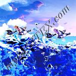 Colour:A
