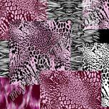 Colour:B