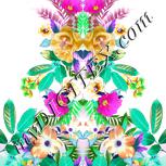 Colour:B