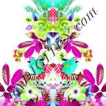 Colour:C