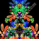Colour:F