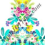 Colour:K
