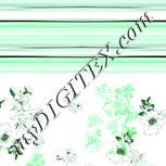 Colour:C