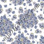 Colour:A