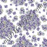 Colour:D