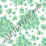 Colour:K