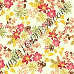 Colour:K