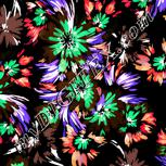 Colour:F