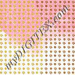 Colour:B