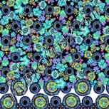 Colour:F