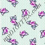 Colour:B