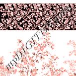 Colour:J