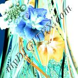 Colour:K
