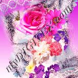 Colour:J