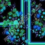 Colour:F