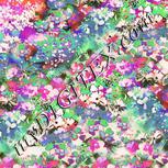 Colour:C