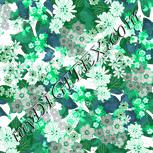Colour:B