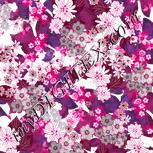 Colour:C