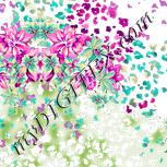 Colour:A