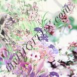 Colour:A