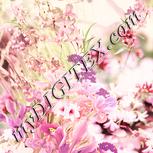 Colour:J