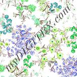 Colour:D
