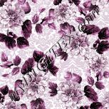Colour:B