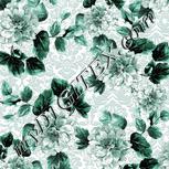 Colour:C