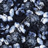 Colour:F