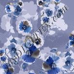 Colour:A