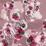 Colour:C