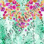 Colour:B