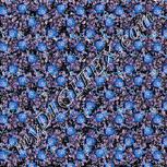 Colour:F