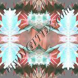 Colour:F