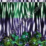 Colour:F