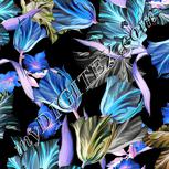 Colour:F
