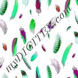 Colour:C
