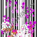 Colour:C