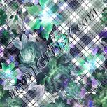 Colour:F