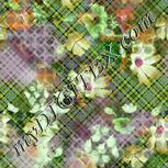 Colour:B