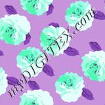 Colour:C