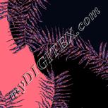 Colour:F
