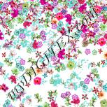 Colour:B