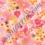 Colour:J