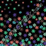 Colour:F