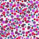Colour:B