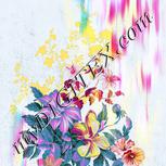 Colour:B