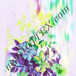 Colour:C