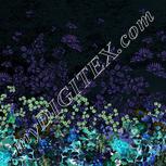 Colour:F