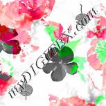 Colour:F